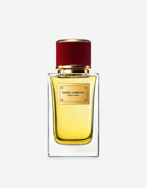 Velvet Desire Eau de Parfum for Women by Dolce&Gabbana Beauty.